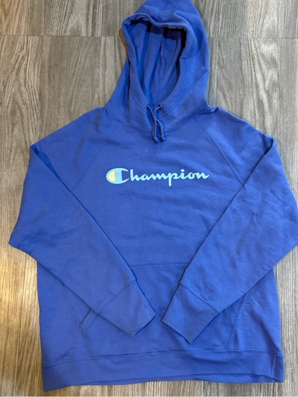 Champion Light Blue Hoodie with Logo